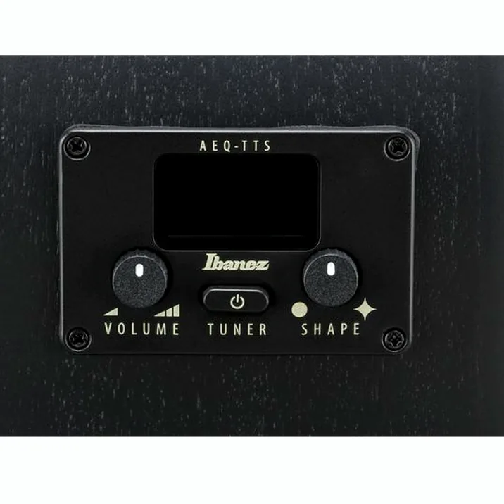 Ibanez AEG1221-BOT