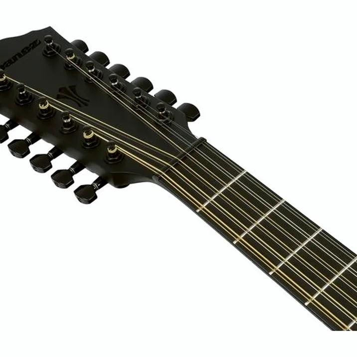 Ibanez AEG1221-BOT