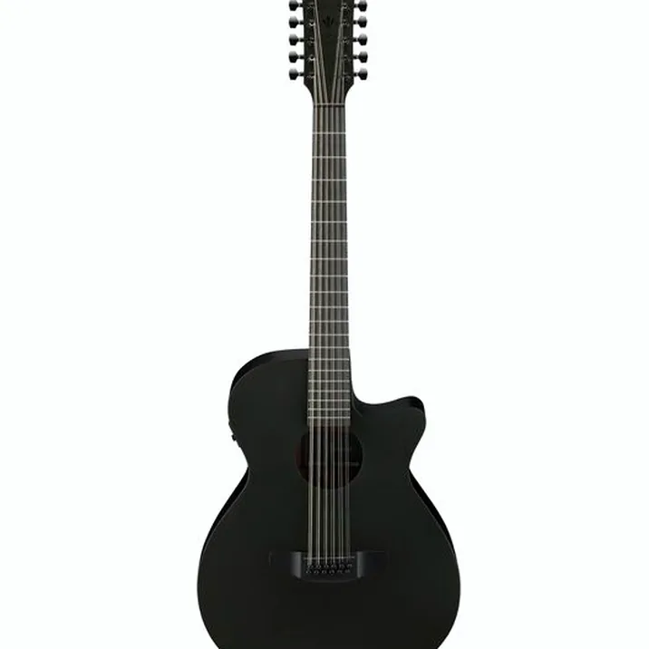 Ibanez AEG1221-BOT