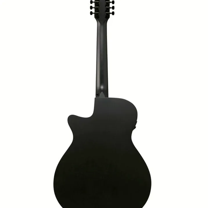 Ibanez AEG1221-BOT