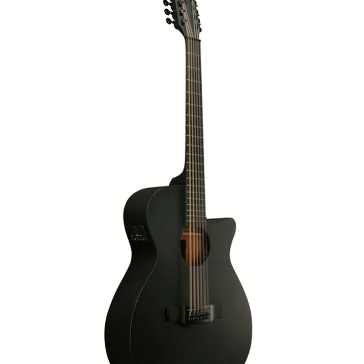 Ibanez AEG1221-BOT