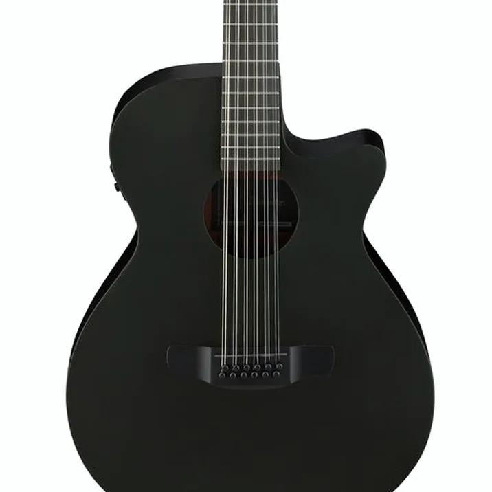 Ibanez AEG1221-BOT