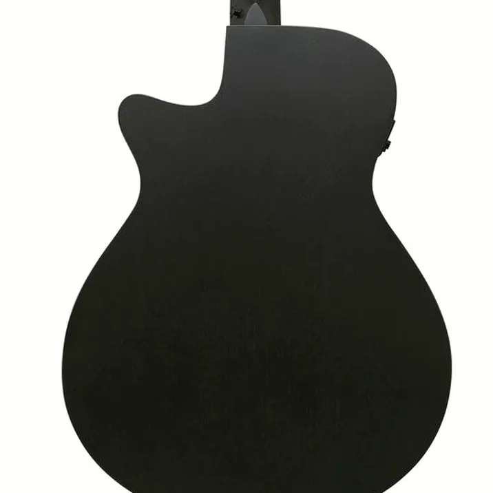 Ibanez AEG1221-BOT