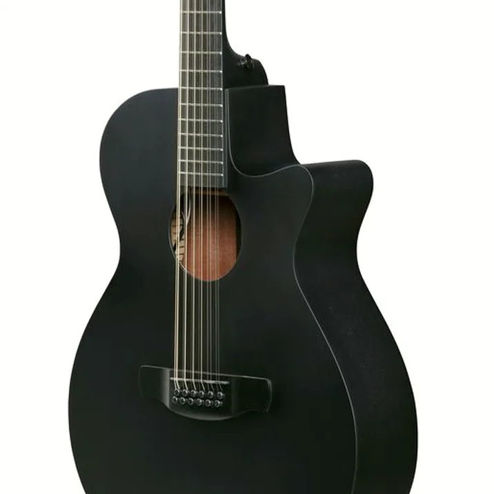 Ibanez AEG1221-BOT