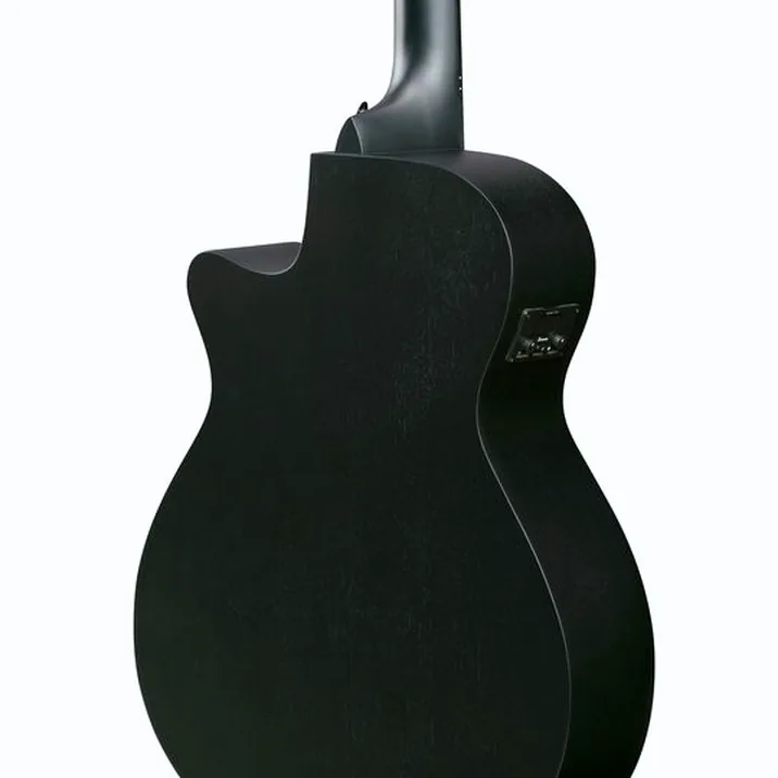 Ibanez AEG1221-BOT