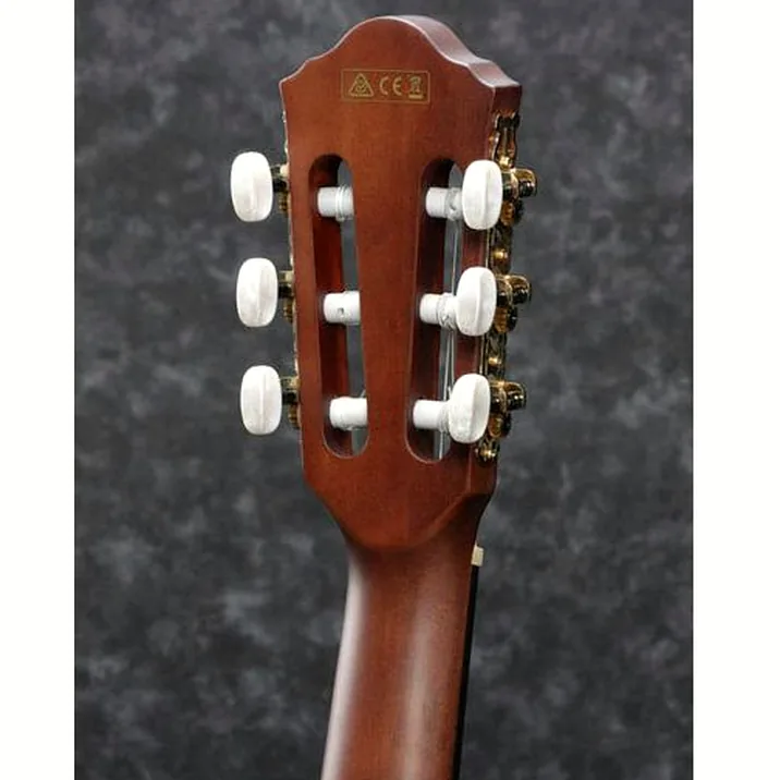 Ibanez Aeg50N Bkh Nylon