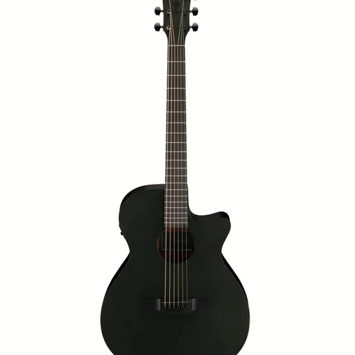 Ibanez AEG621-BOT