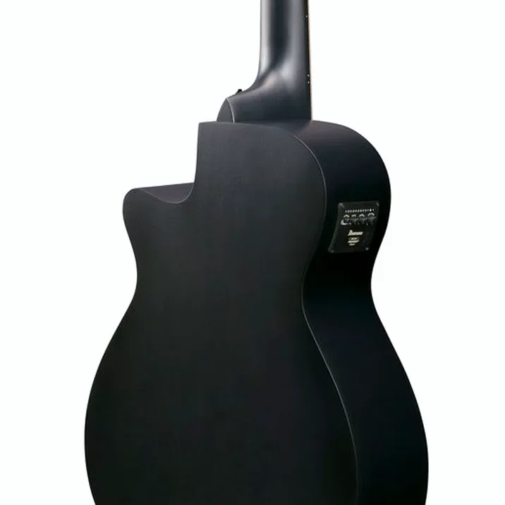 Ibanez AEG721-BOT
