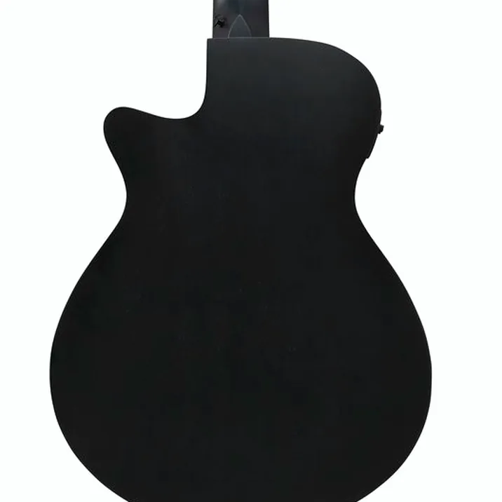 Ibanez AEG721-BOT