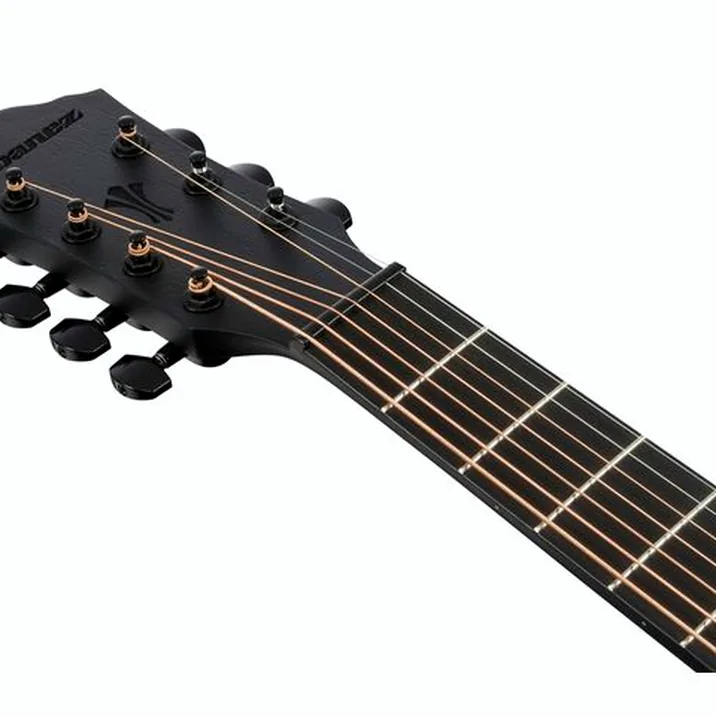 Ibanez AEG721-BOT