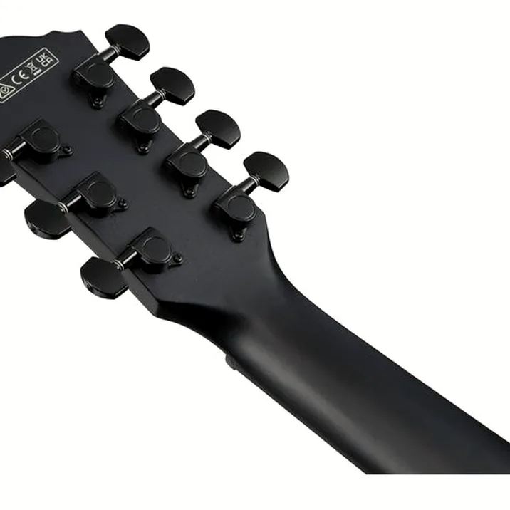 Ibanez AEG721-BOT