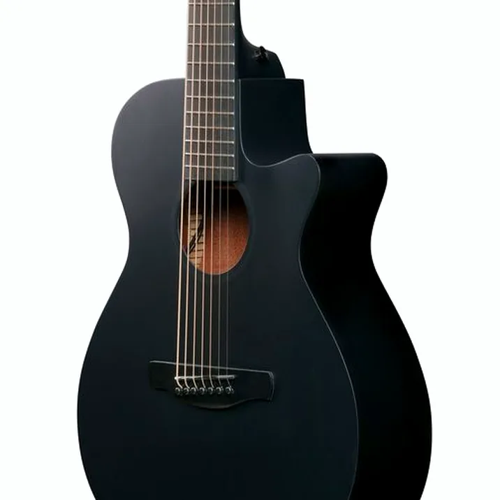 Ibanez AEG721-BOT