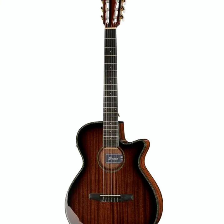 Ibanez AEG74N-MHS