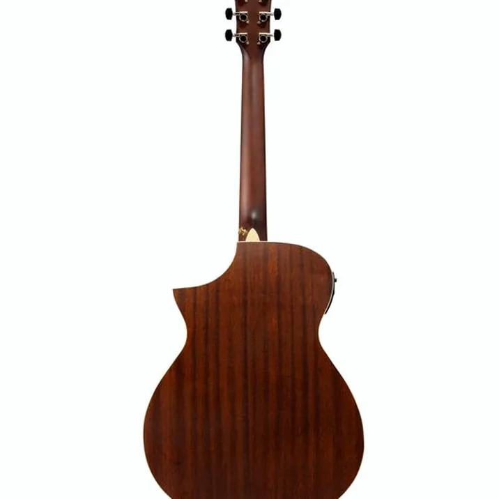 Ibanez AEWC12-RGF