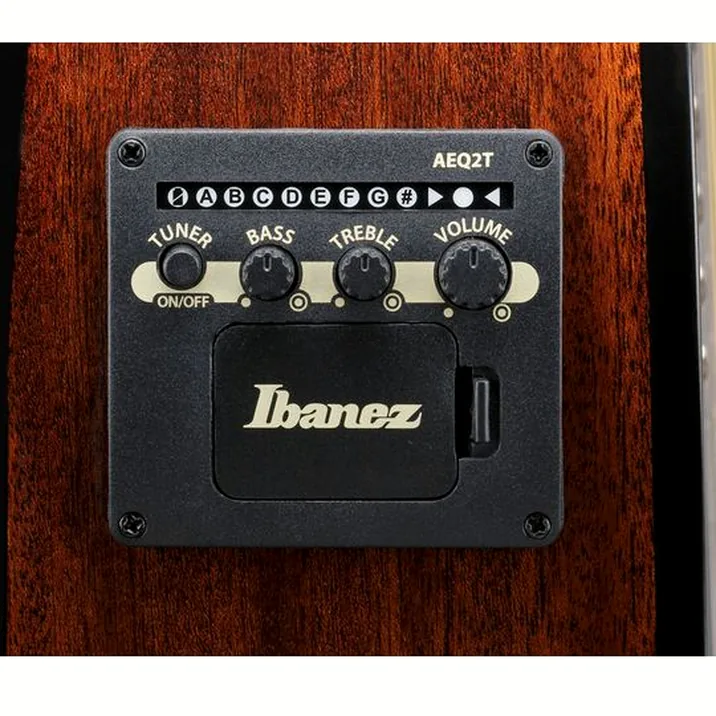 Ibanez AEWC16QA-TEH