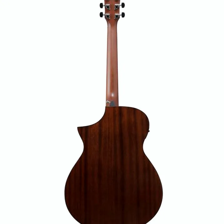 Ibanez AEWC16QA-TEH