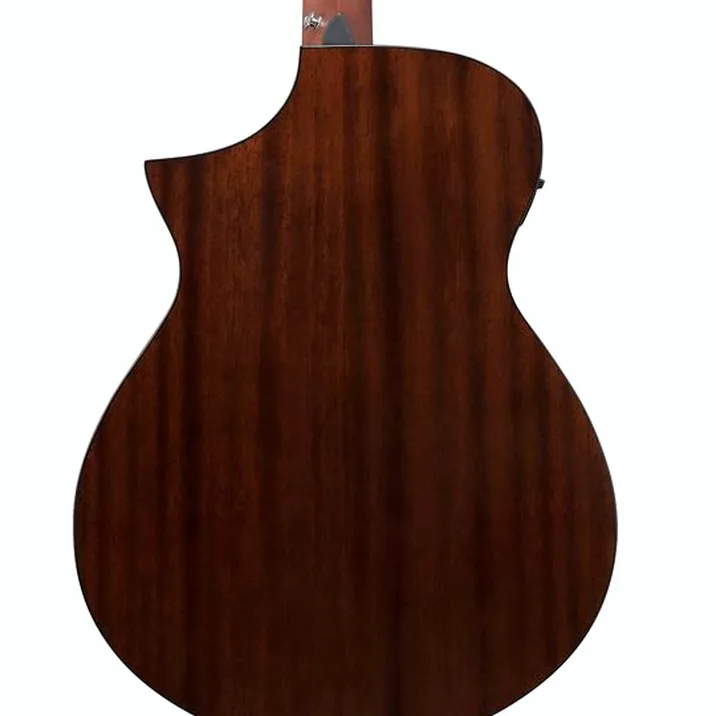 Ibanez AEWC16QA-TEH