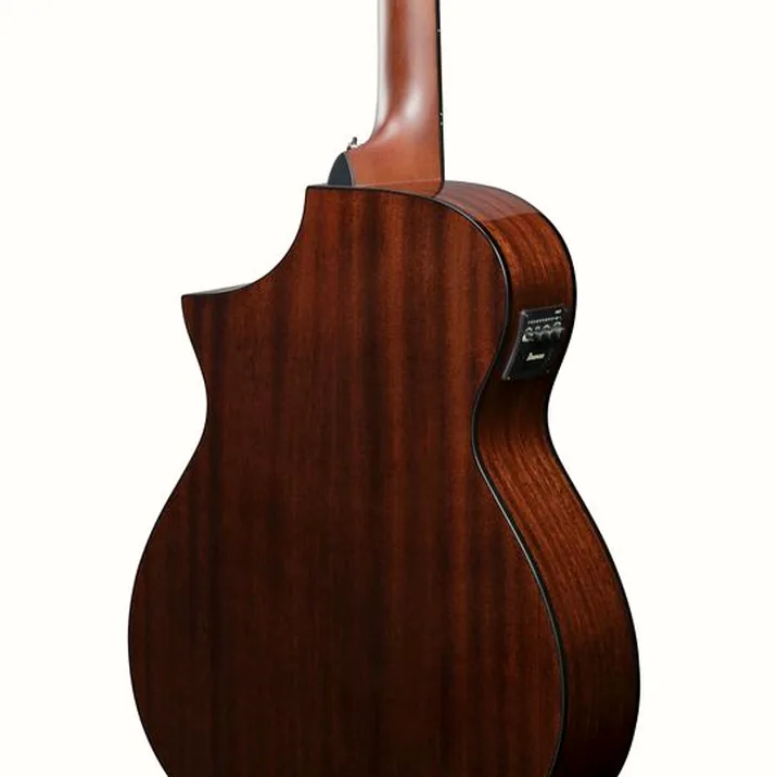 Ibanez AEWC16QA-TEH