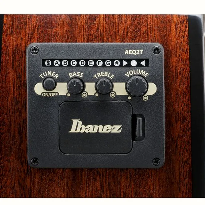 Ibanez AEWC16QA-TLH