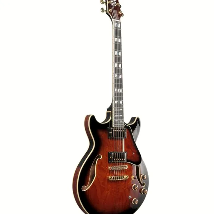 Ibanez AM153QA-DBS
