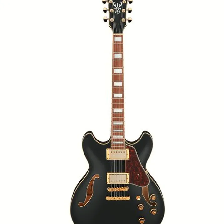 Ibanez AS73 G BKF