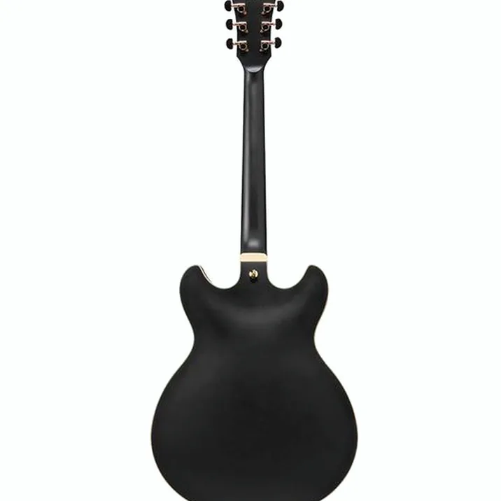 Ibanez AS73 G BKF