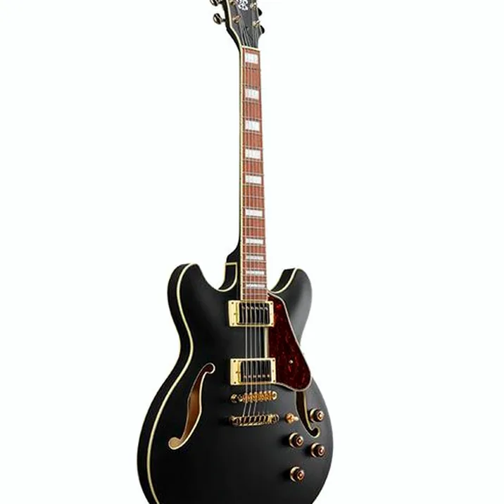 Ibanez AS73 G BKF