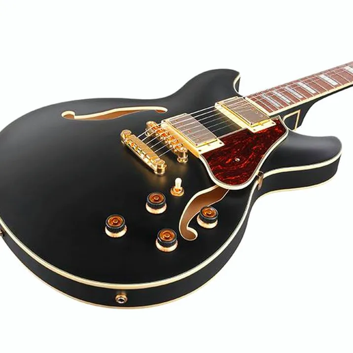 Ibanez As73 G Bkf