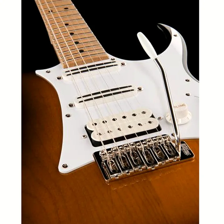 Ibanez AT100CL-SB