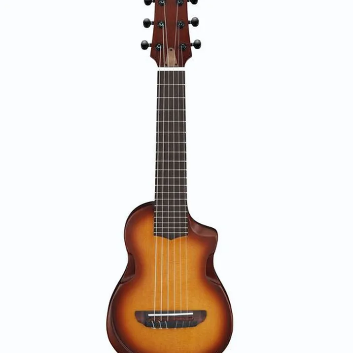 Ibanez AUP10N-OLB