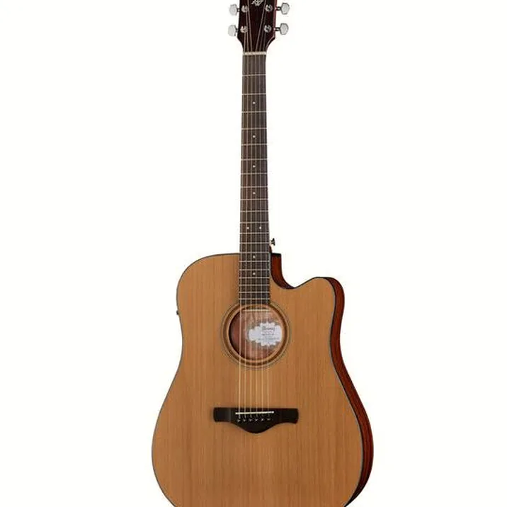 Ibanez AW65ECE-LG