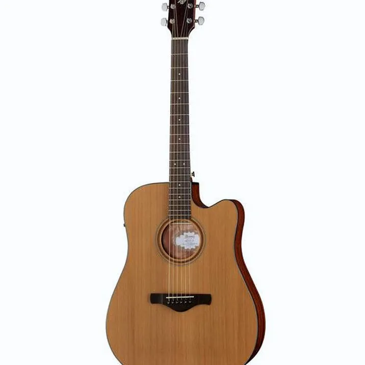 Ibanez AW65ECE-LG