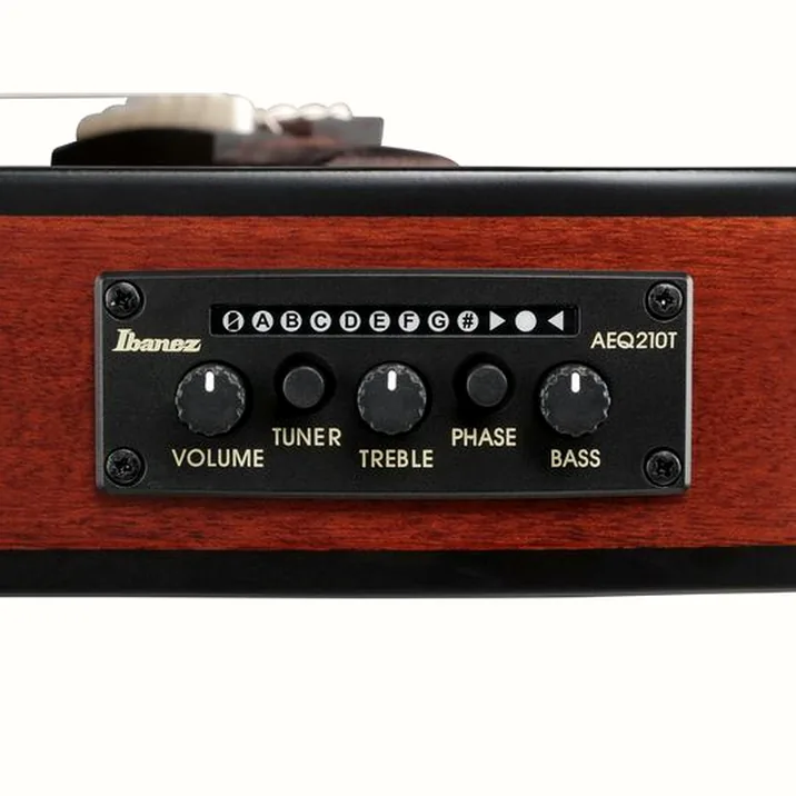 Ibanez FRH20SMN-TCL