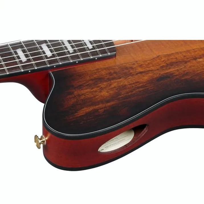 Ibanez FRH20SMN-TCL