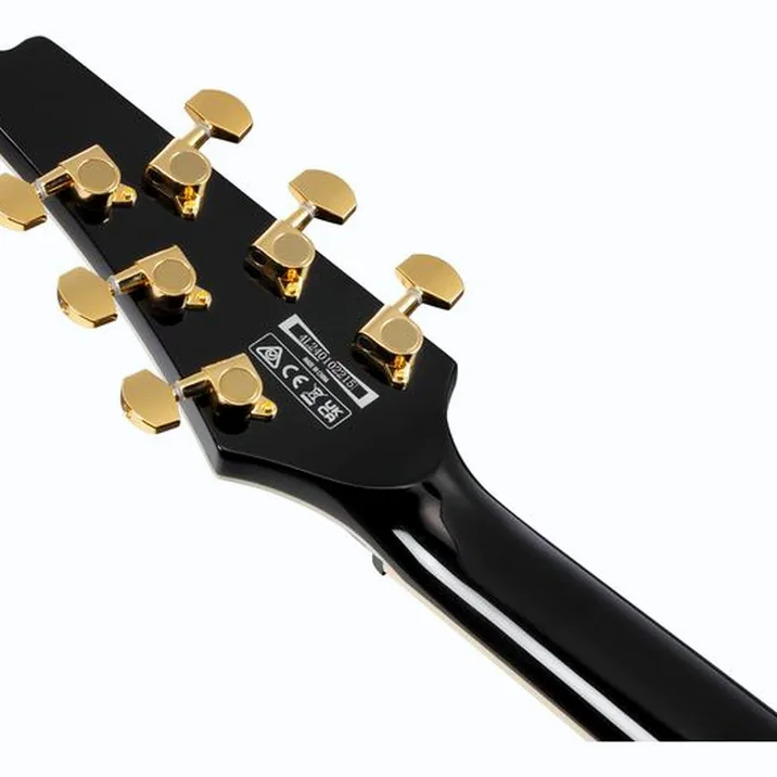 Ibanez FRM350-BK Paul Gilbert