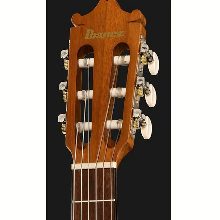 Ibanez GA2-OAM