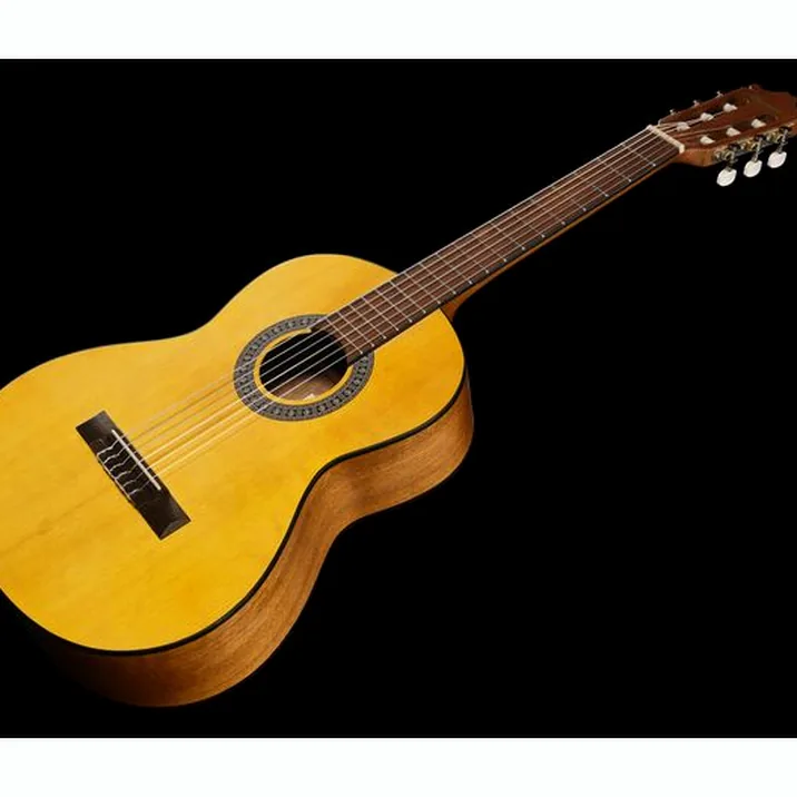 Ibanez GA2-OAM