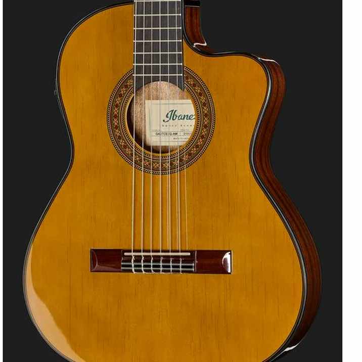 Ibanez GA5TCE3Q-AM