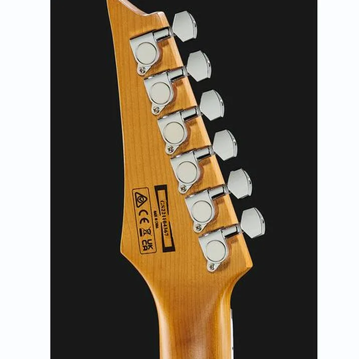 Ibanez Grg220Pa1 Bkb