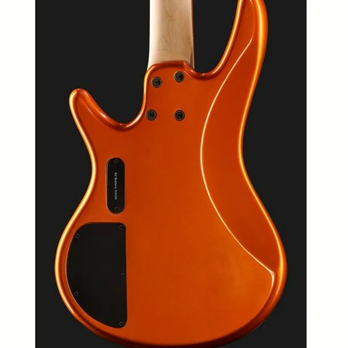 Ibanez Gsr205 Rom