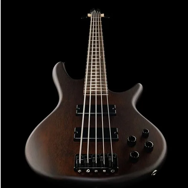 Ibanez Gsr205B Wnf