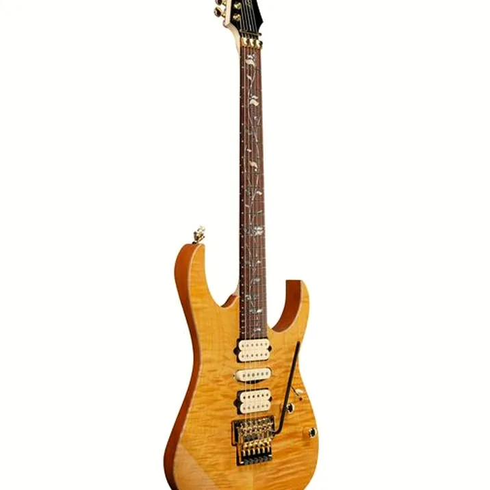 Ibanez j.custom RG8570EM-NT