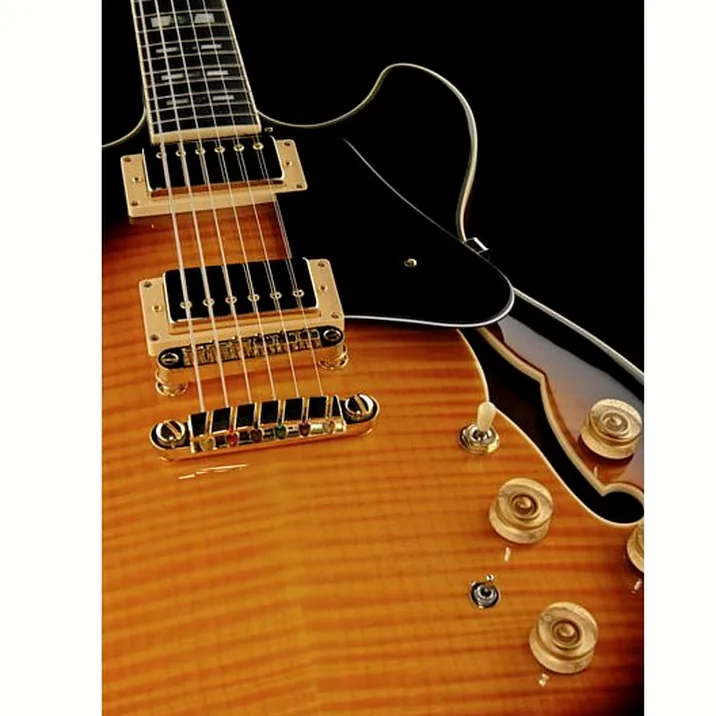 Ibanez Jsm10 Vys John Scofield