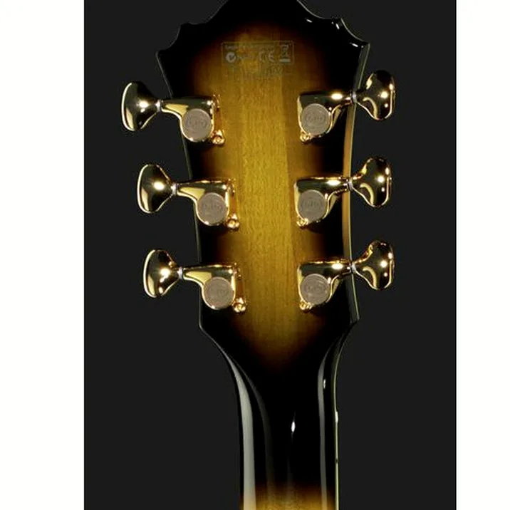 Ibanez Lgb300 Vys