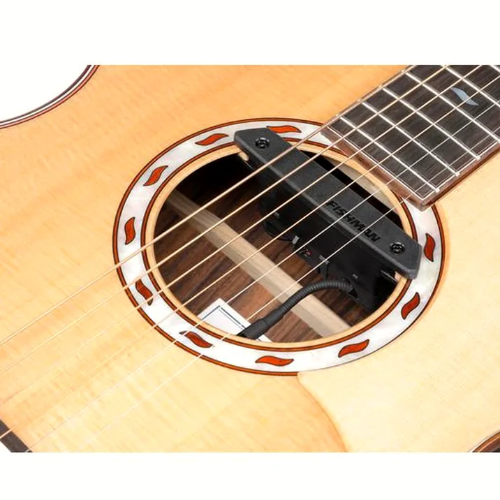 Ibanez MRC10-NT