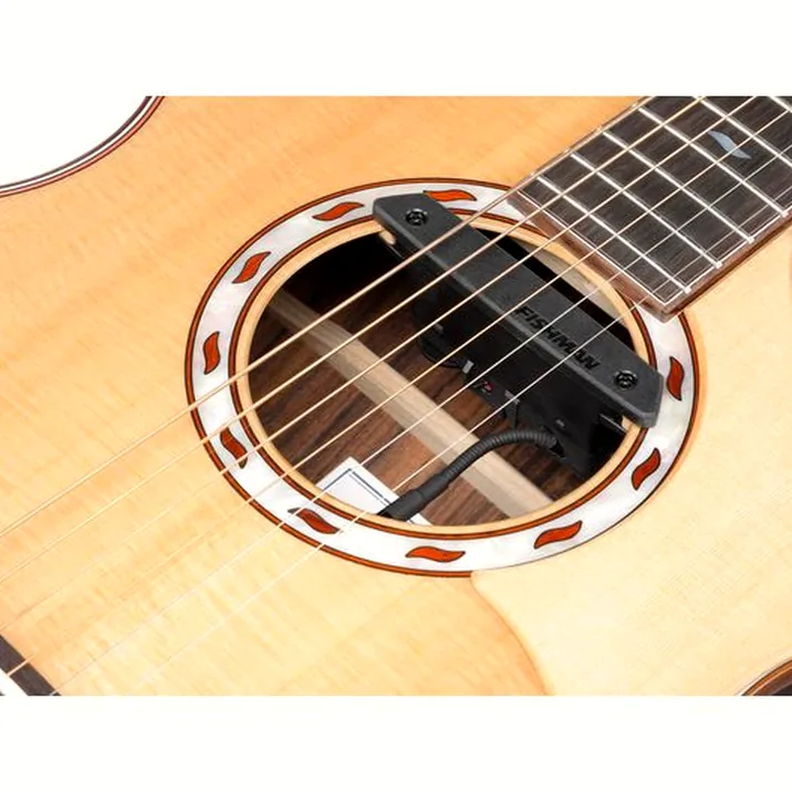Ibanez Mrc10 Nt