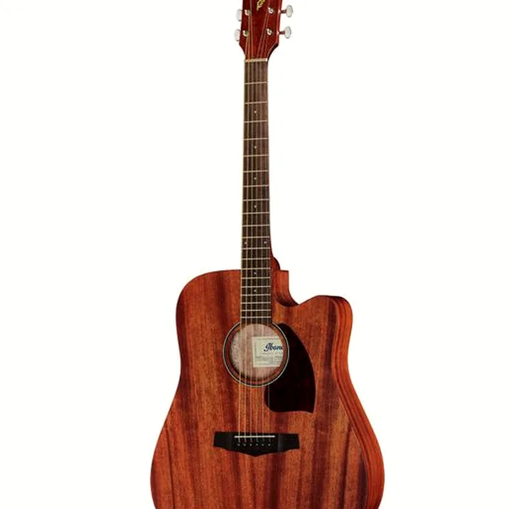 Ibanez PF12MHCE-OPN