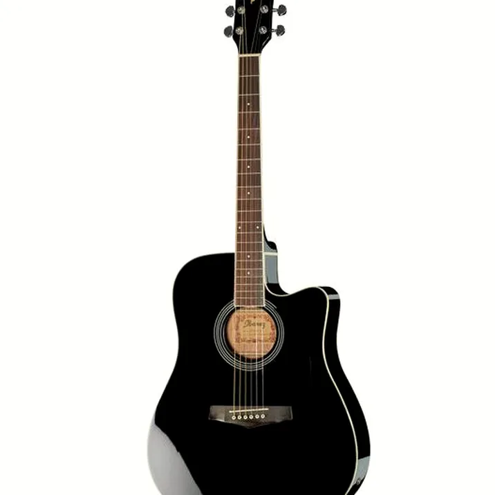 Ibanez PF15ECE-BK