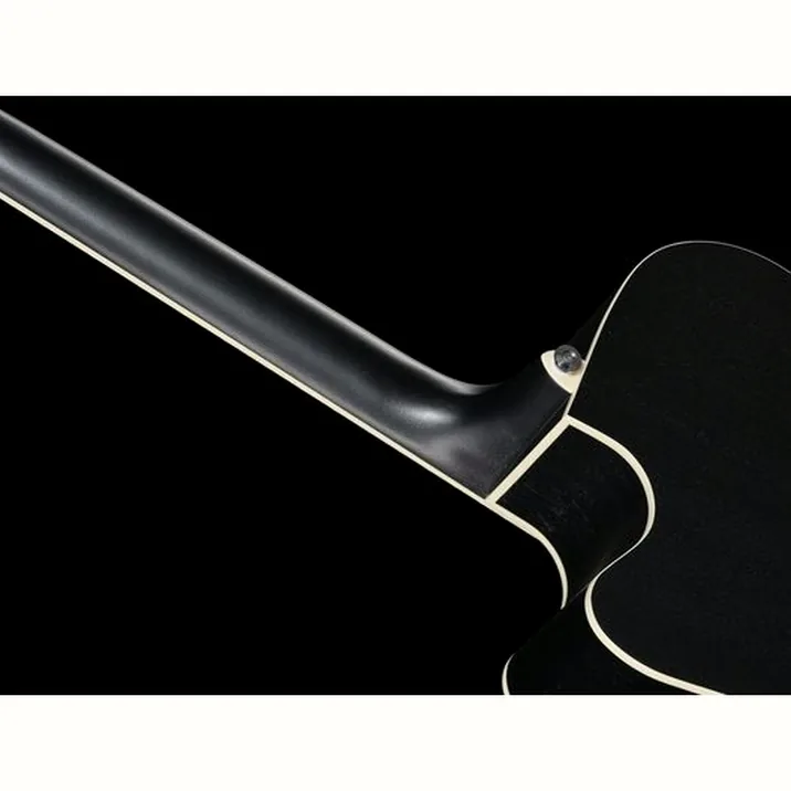 Ibanez PF16MWCE WBK