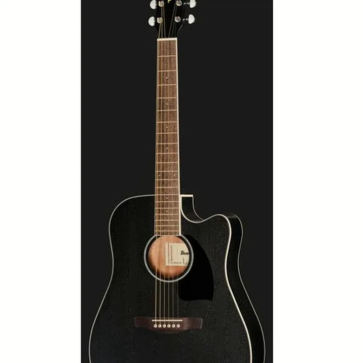 Ibanez PF16MWCE WBK